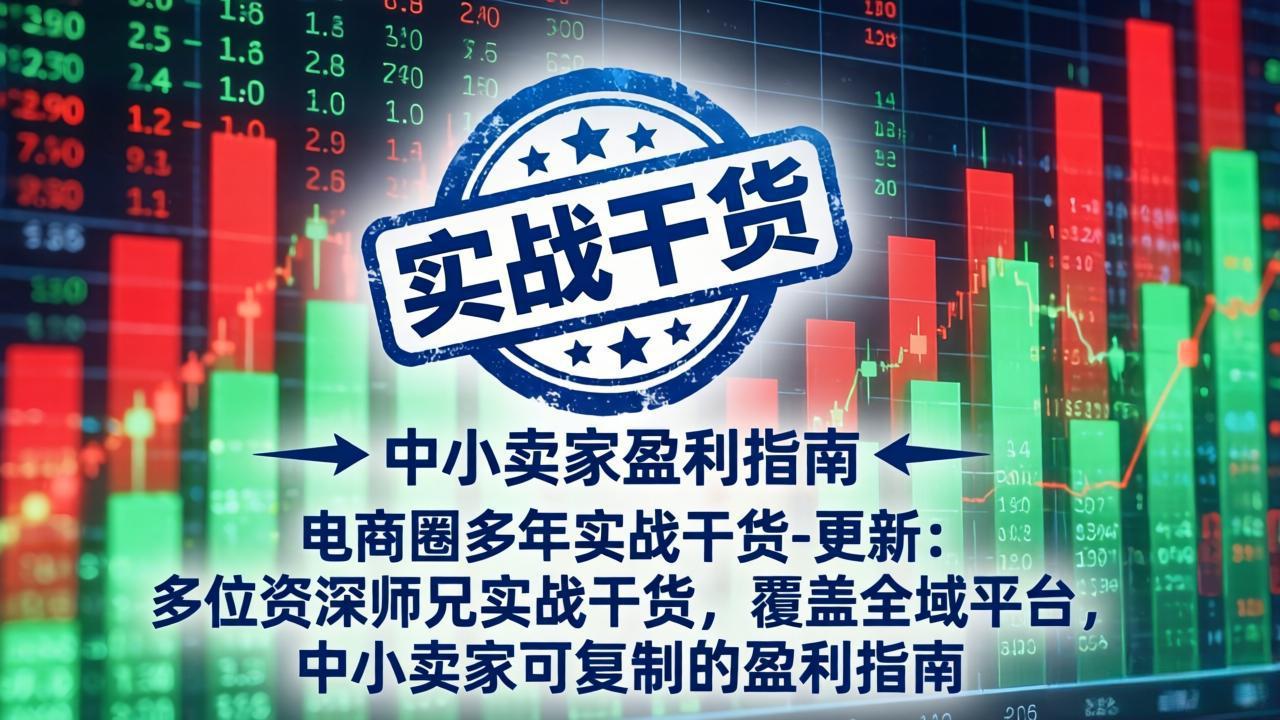 电商圈多年实战干货-更新5月10：多位资深师兄实战干货/覆盖全域平台，中小卖家可复制的盈利指南-小明副业导航站